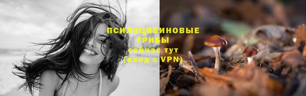 мет Белокуриха