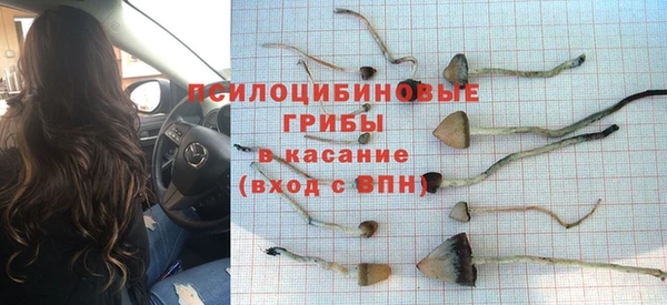 ПСИЛОЦИБИНОВЫЕ ГРИБЫ Балахна