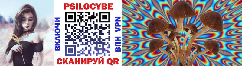 Псилоцибиновые грибы Magic Shrooms  что такое наркотик  Нерчинск 
